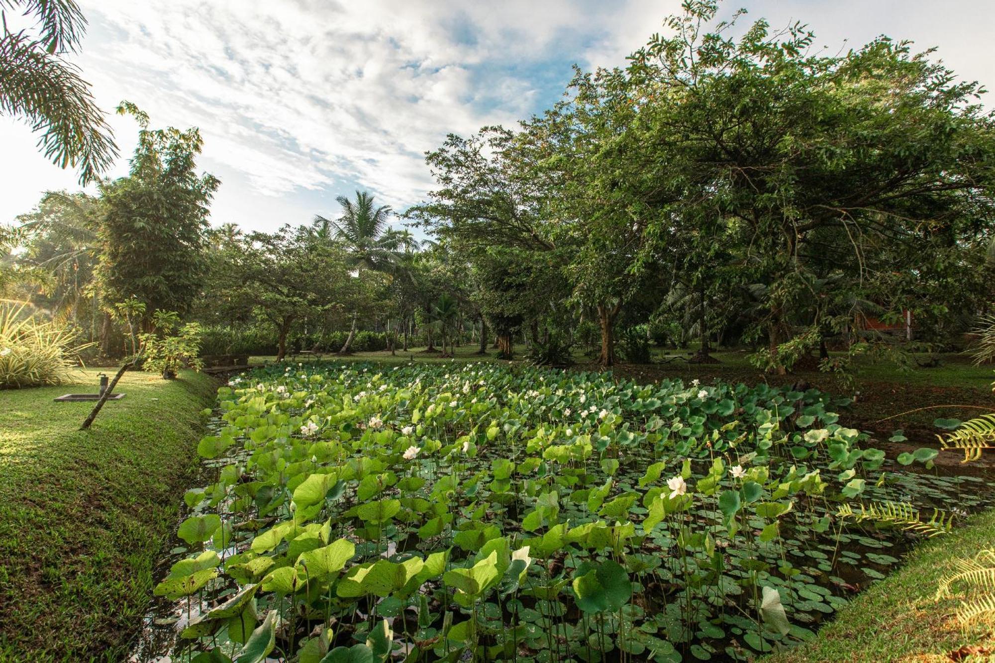 Villa Acres Green Hikkaduwa Exterior photo